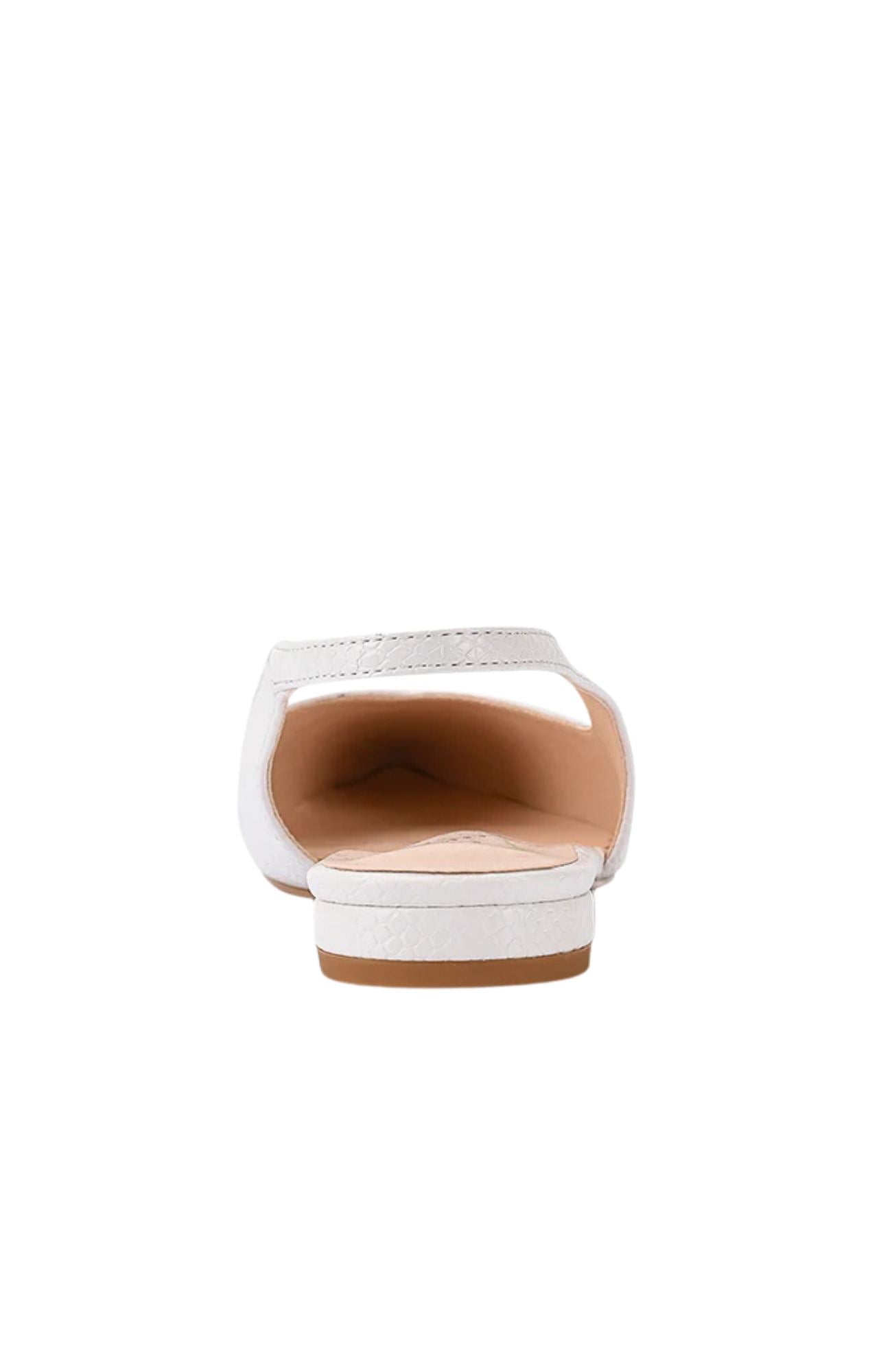 Accessory-Template-36jpg