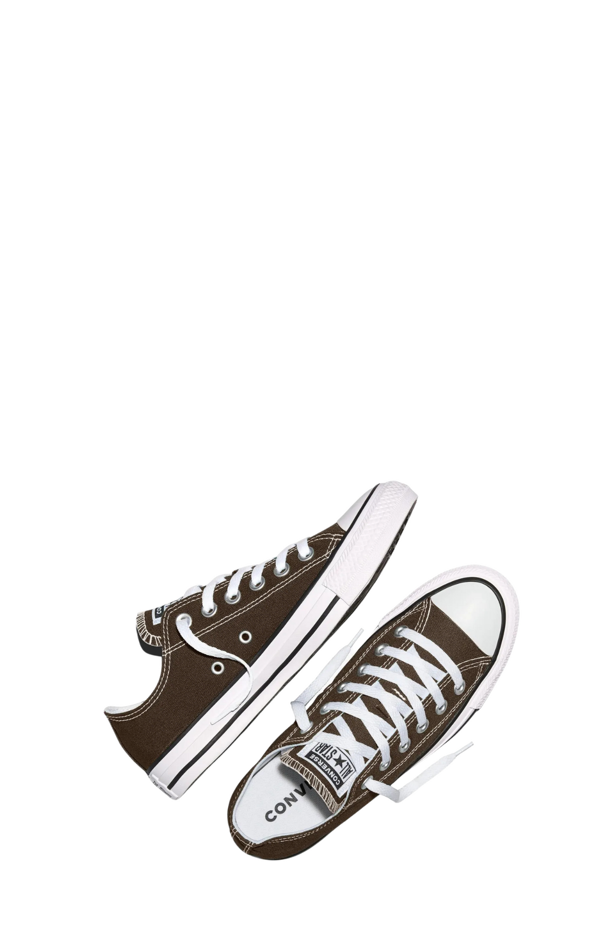 Chuck Taylor All Star Low Top Fresh Brew