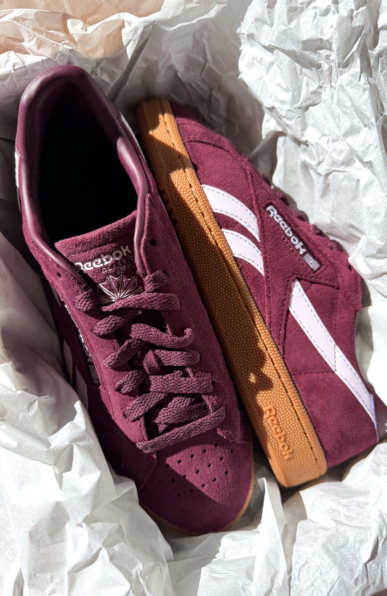 Club C Grounds UK Black Cherry