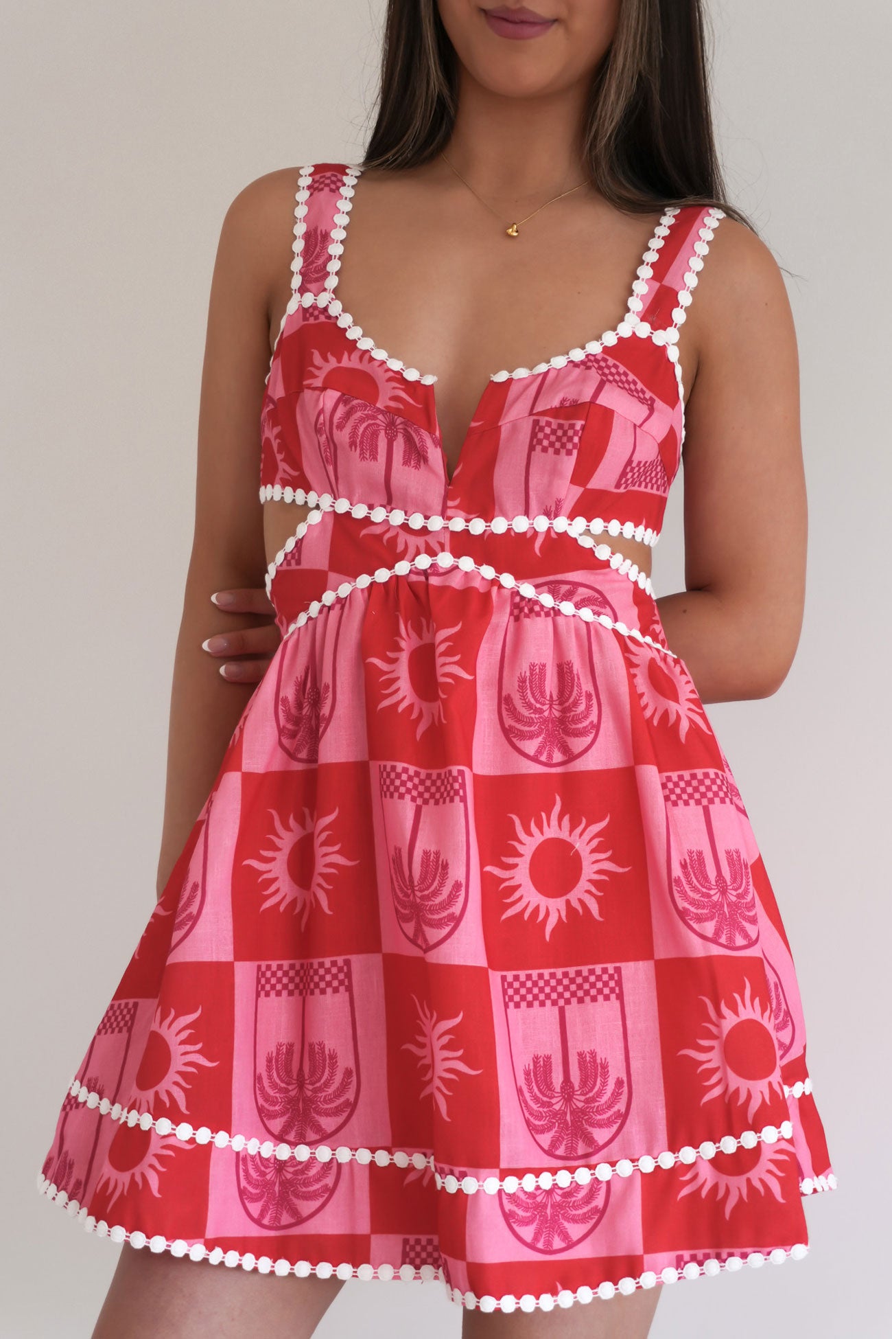 Dixon Mini Dress Pink Red