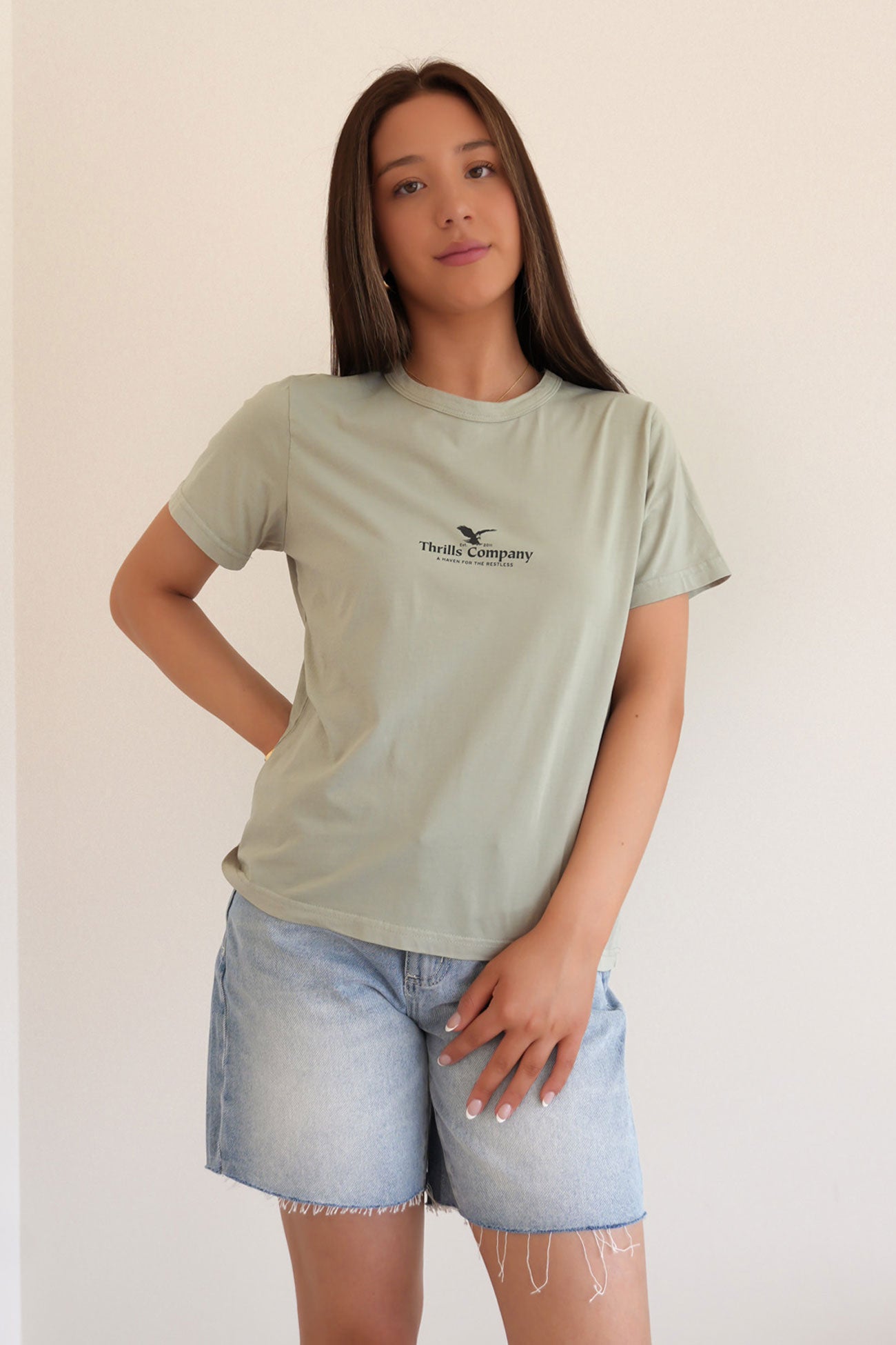 Haven For The Reckless Relaxed Tee Dirty Sage