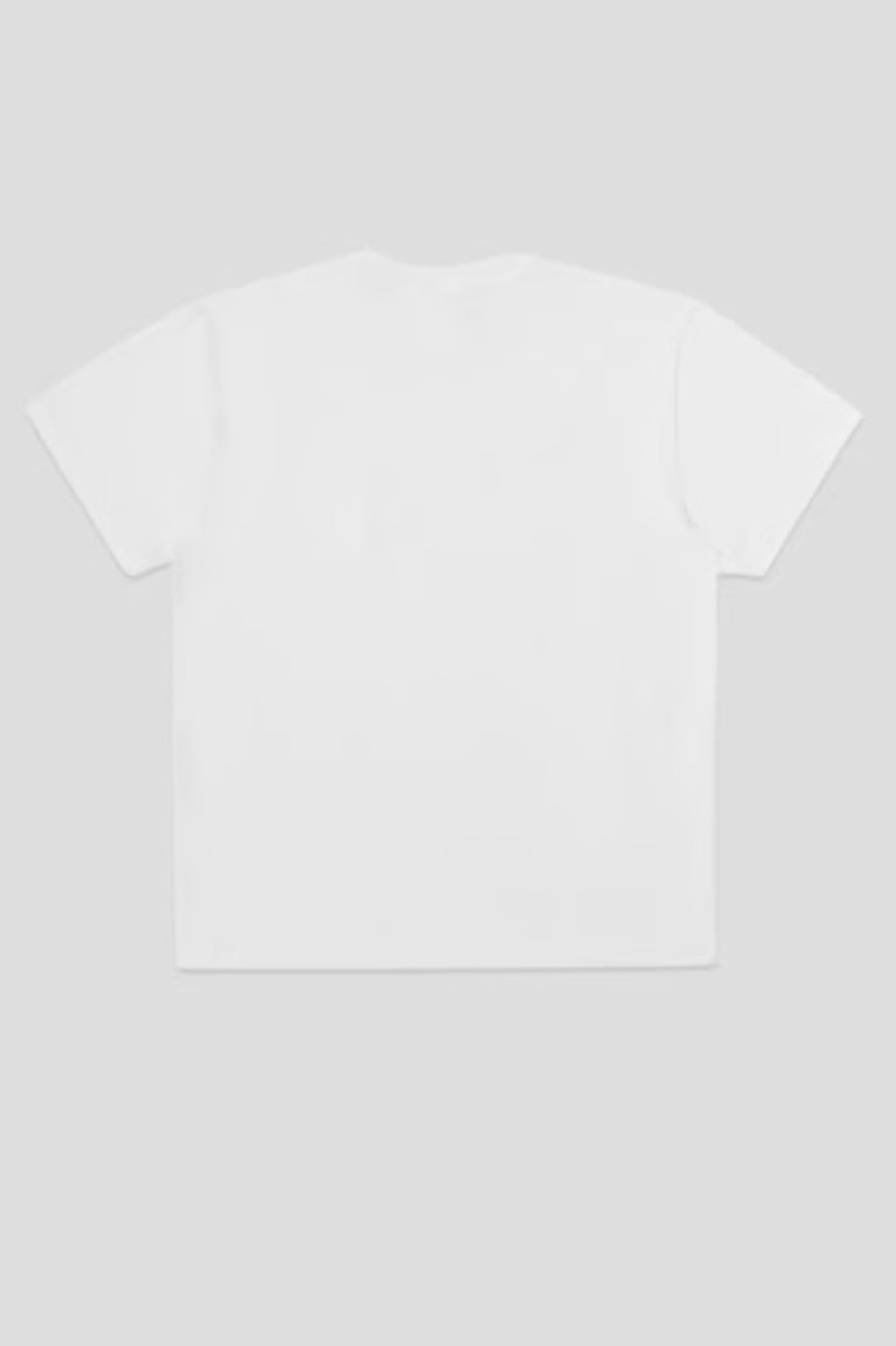 Heavy-Jersey-Pocket-Tee-Dickies-White2jpg