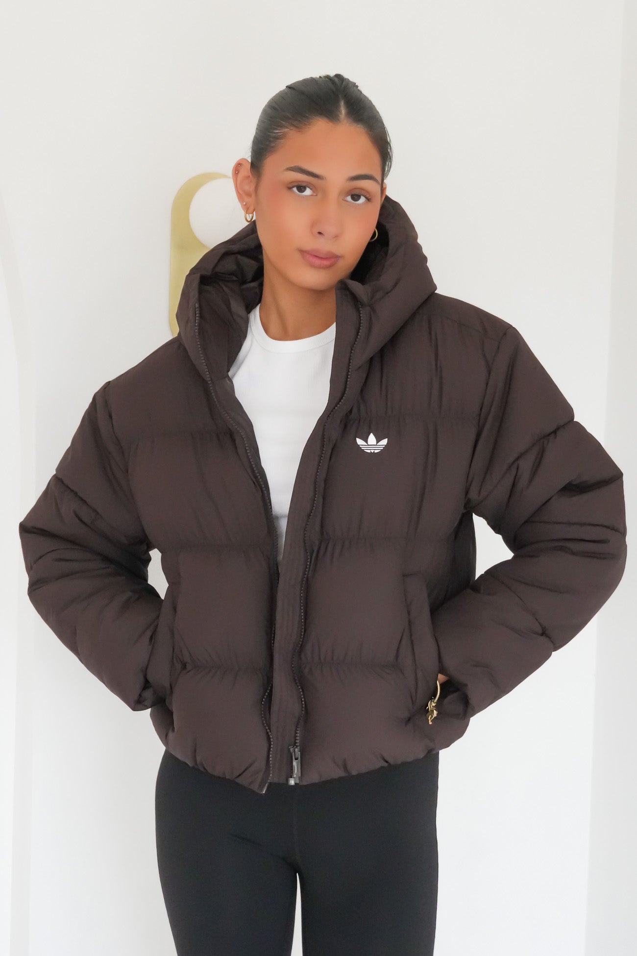 Hooded Padded Jacket Aurora Coffee
