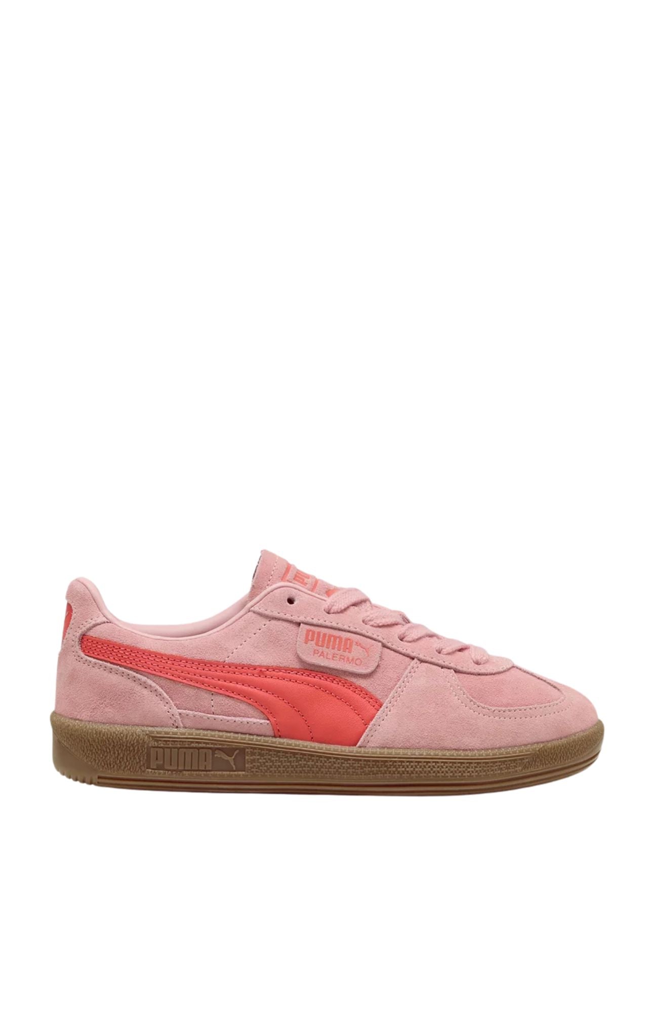 Palermo Rosy Outlook Gum