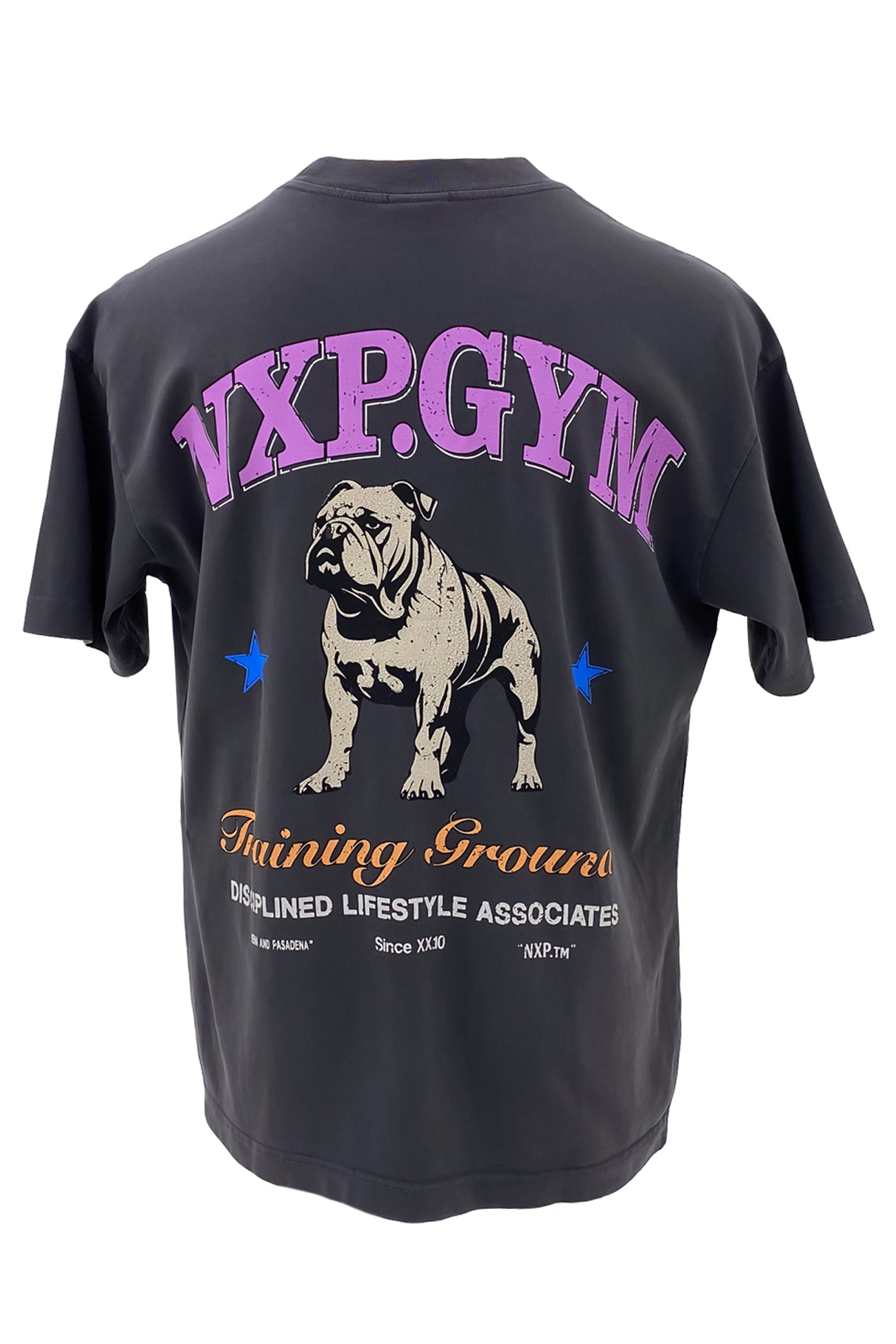 Parole Raptor Tee Pigment Asphalt b