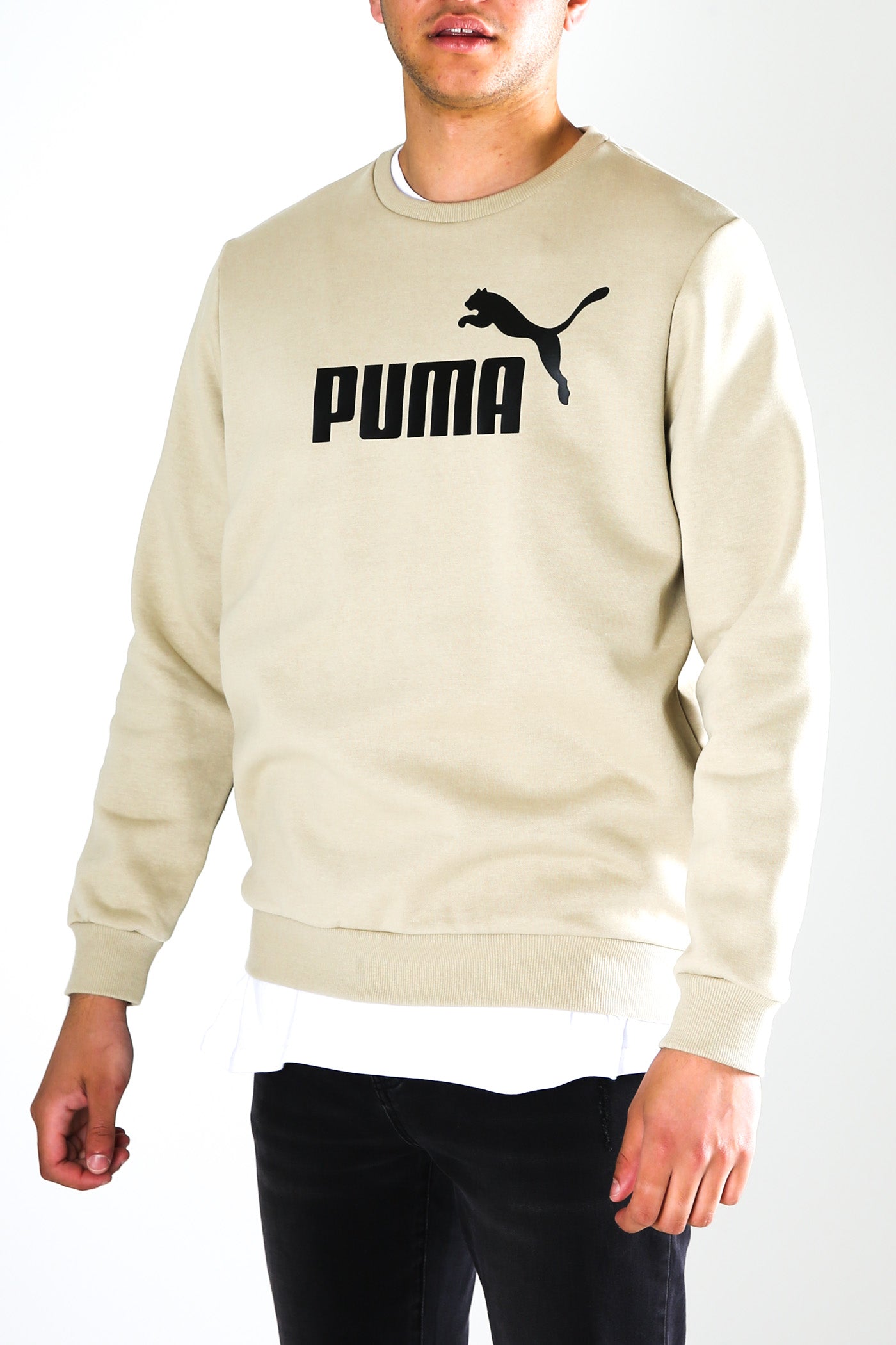 Essentials Big Logo Crew Spray Green