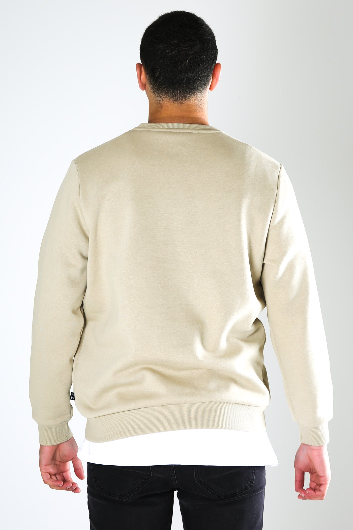 Essentials Big Logo Crew Spray Green