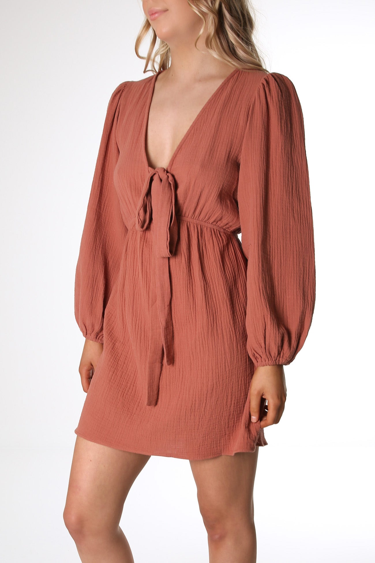 Owen Mini Dress Rust