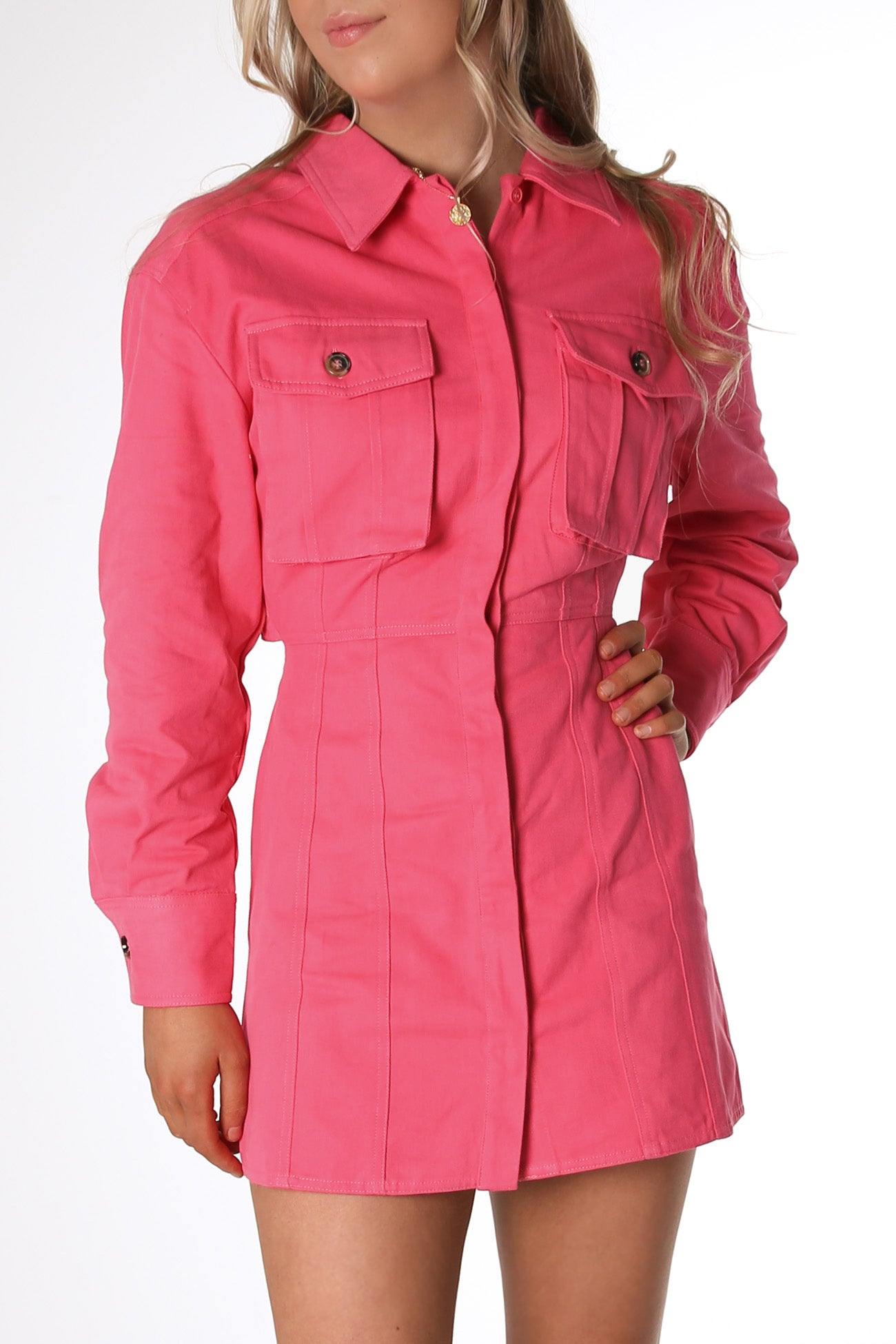 The Wild Vision Mini Dress Pink