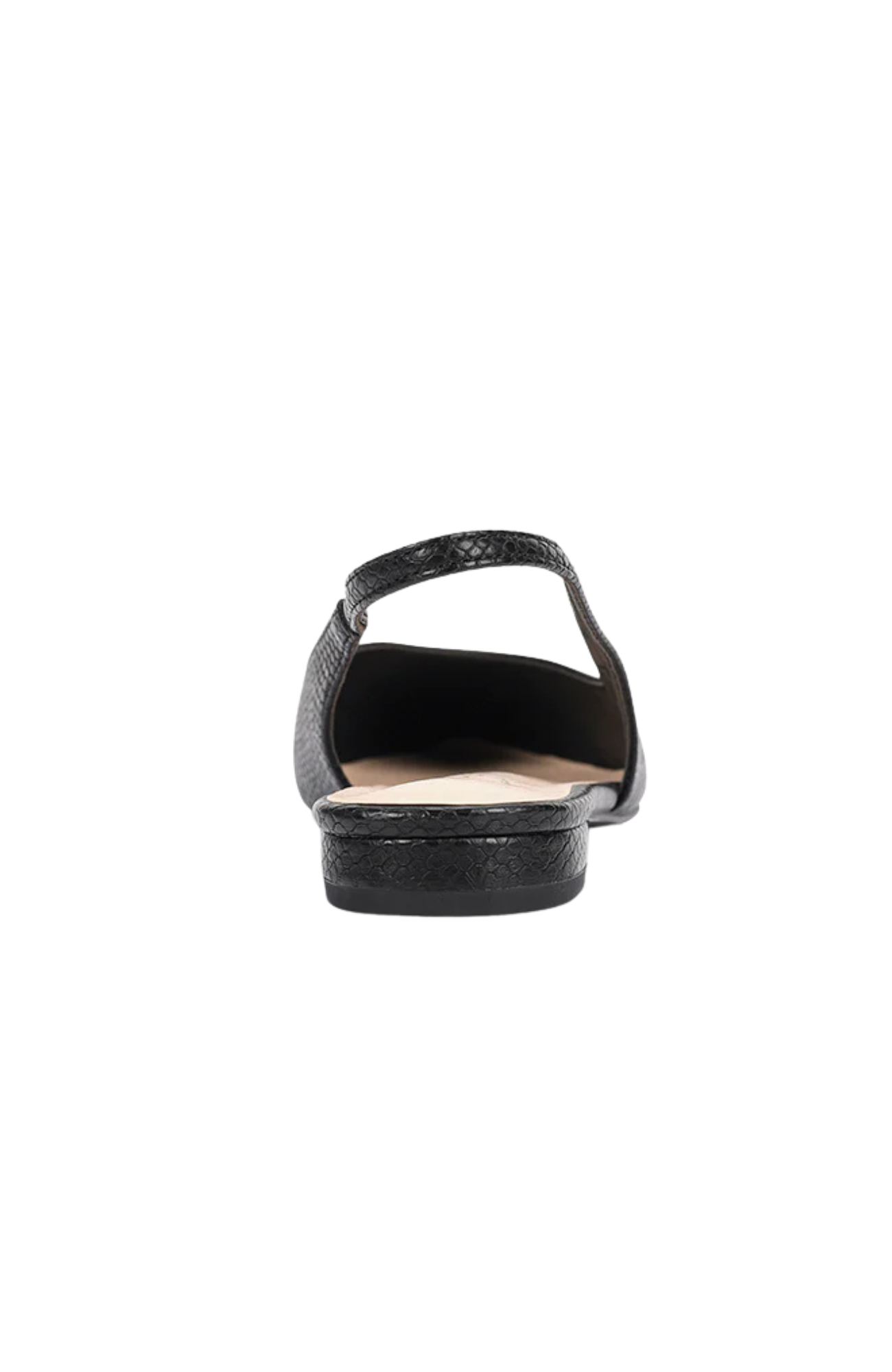Accessory-Template-39jpg