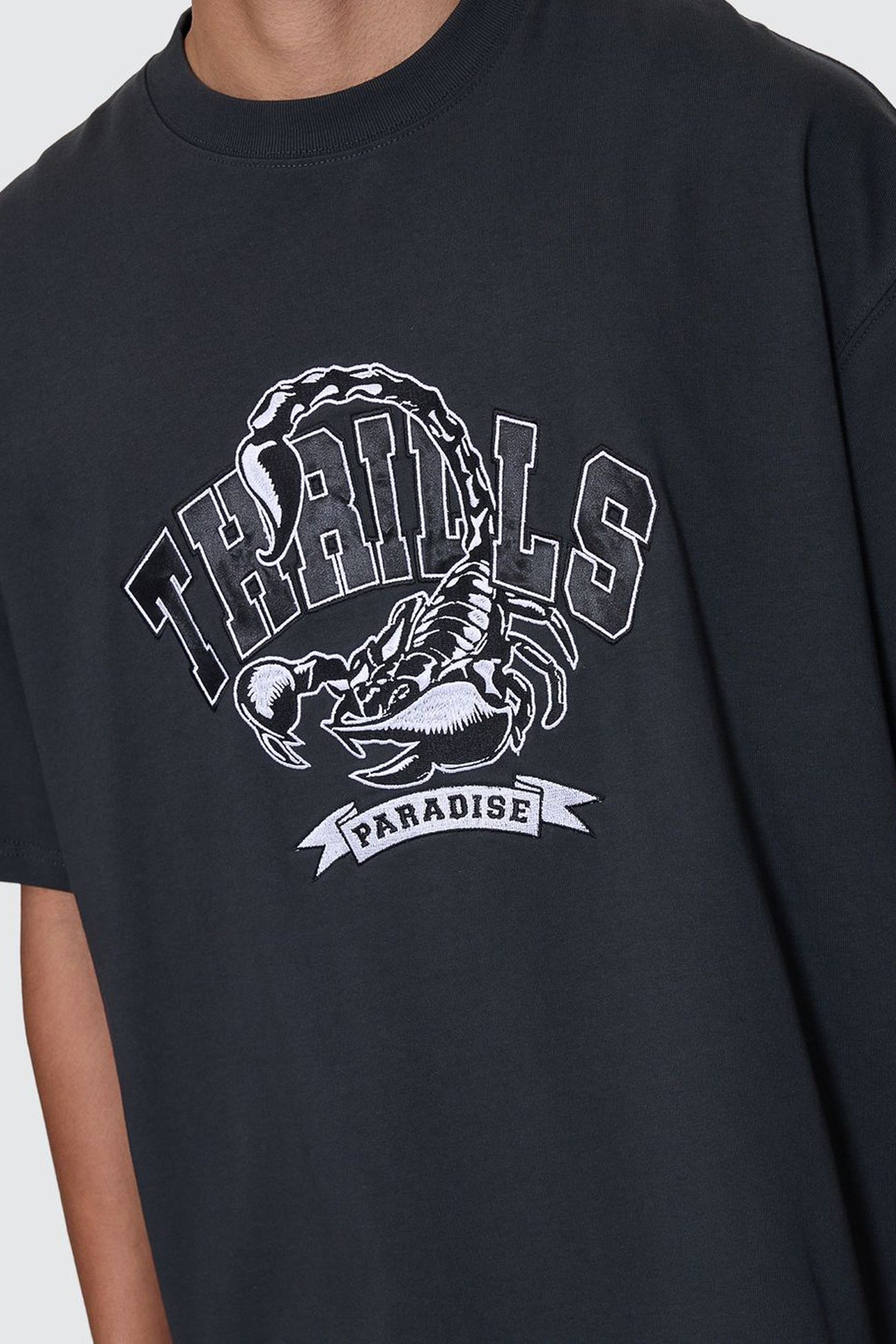 Sting Of Defeat Box Fit Oversize Tee Carbon