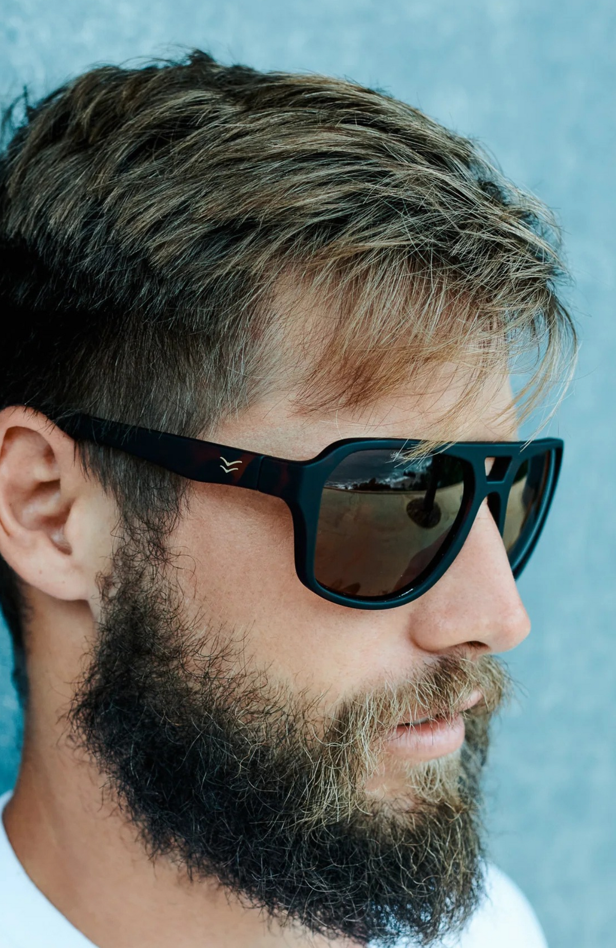San O Sunglasses Tort Brown Polarsised