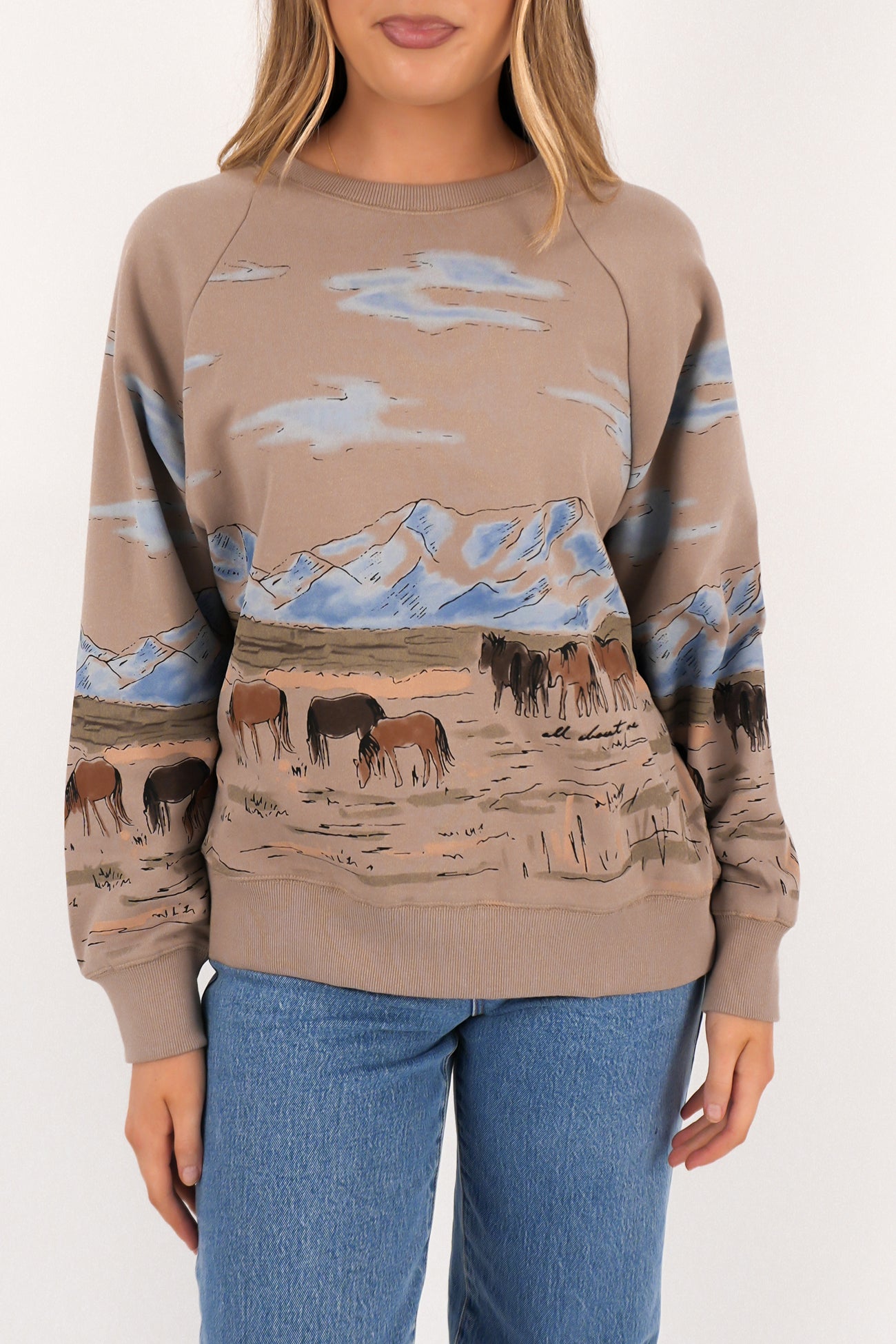 Wild Horses Box Raglan Crew Stone