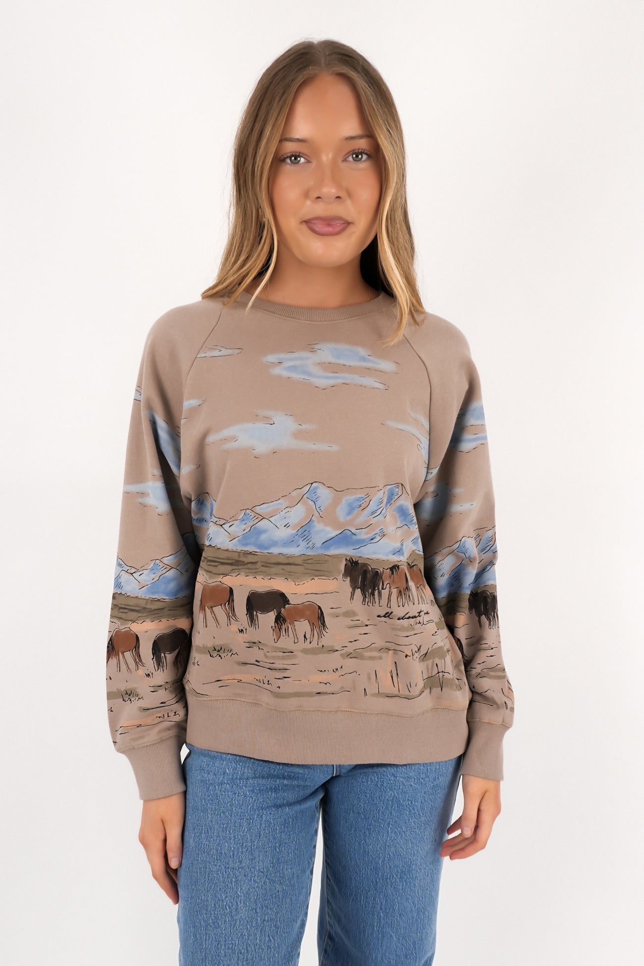 Wild Horses Box Raglan Crew Stone