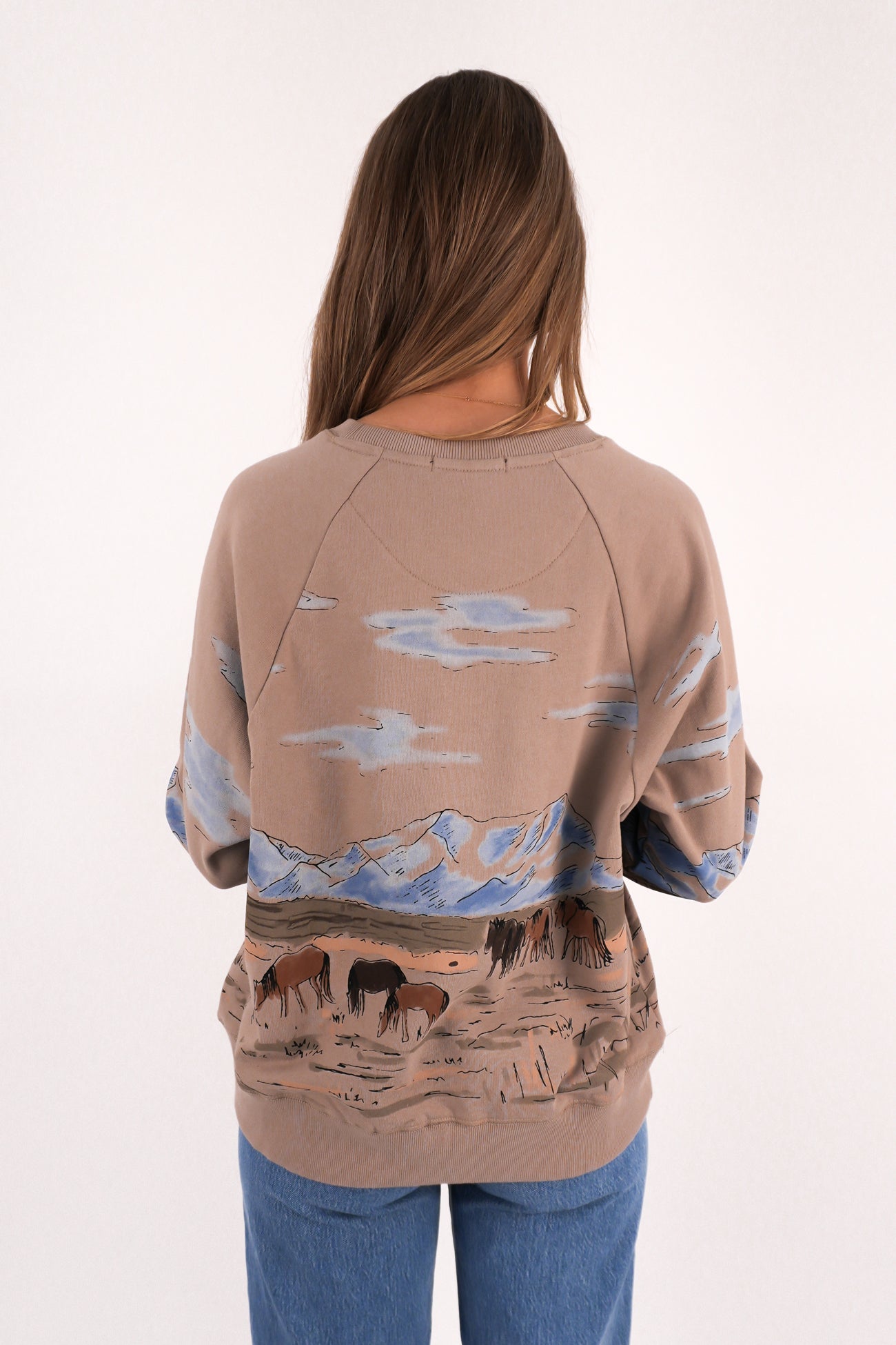 Wild Horses Box Raglan Crew Stone