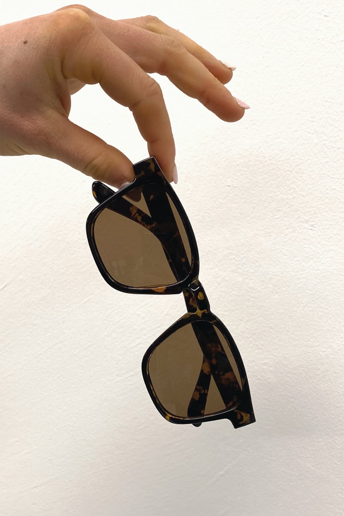 Damelio Sunglasses // Tort