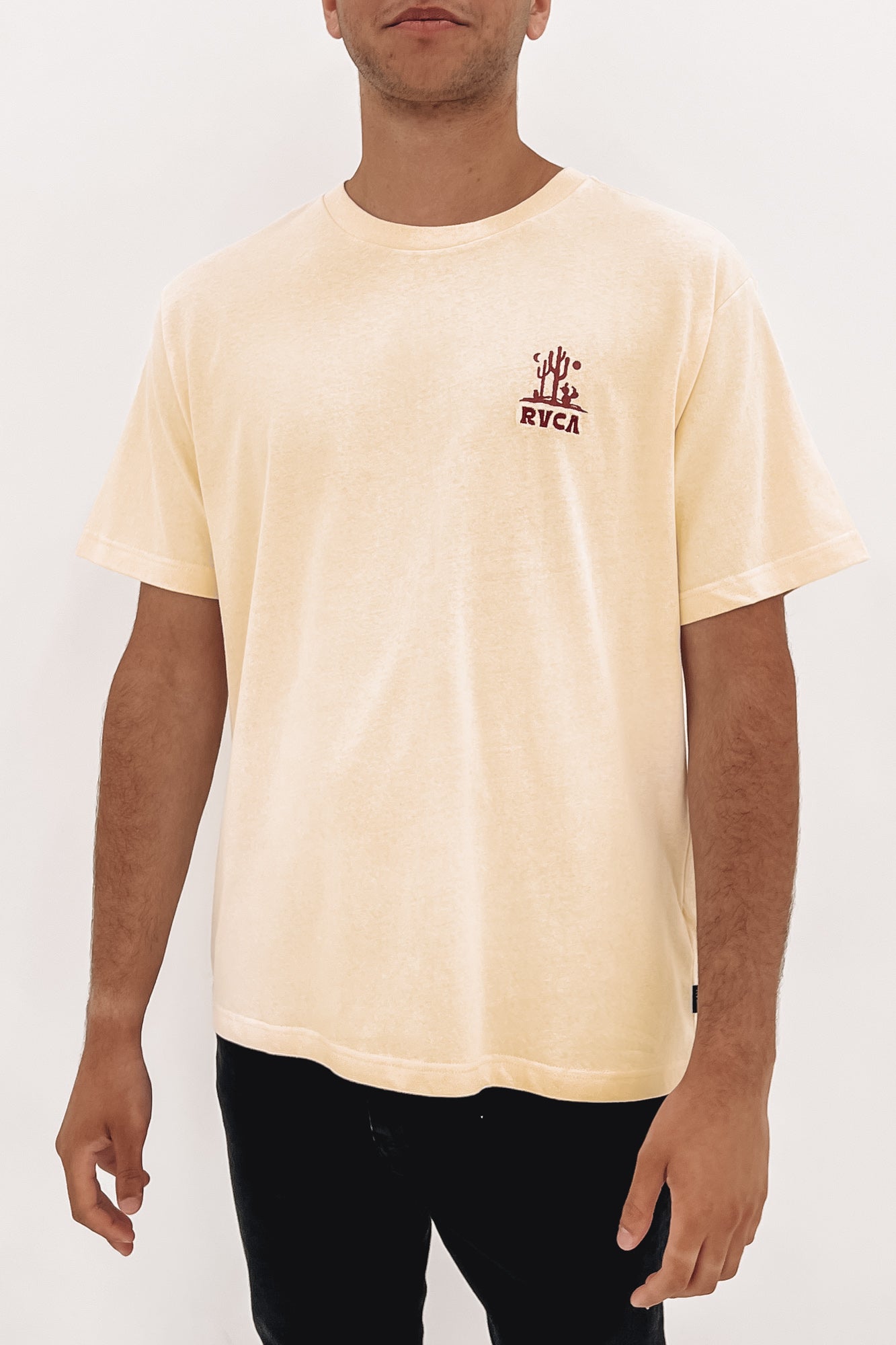 Joshua Tree Short Sleeve Tee Bleached