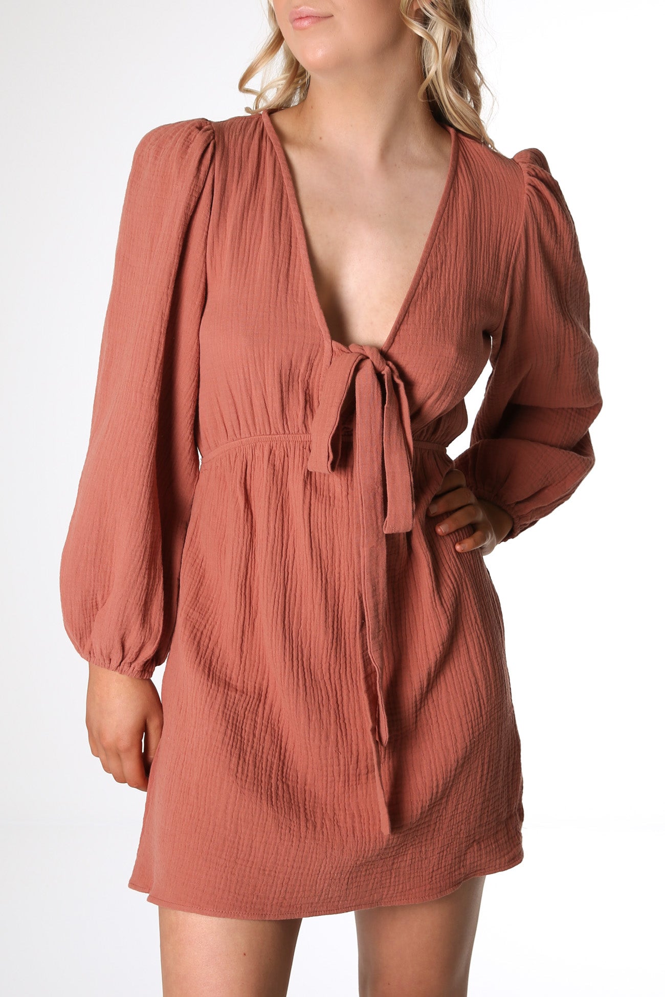 Owen Mini Dress Rust